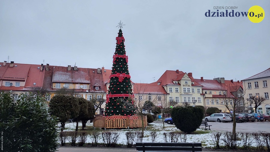 Przed Ratuszem w Działdowie stoi już choinka