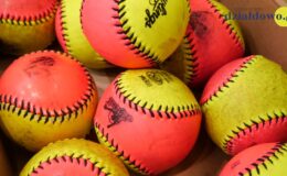Yankeesi Działdowo z brązowymi medalami na XX Jubileuszowym Międzynarodowym Halowym Turnieju Baseballu „Działdowo Cup 2021”