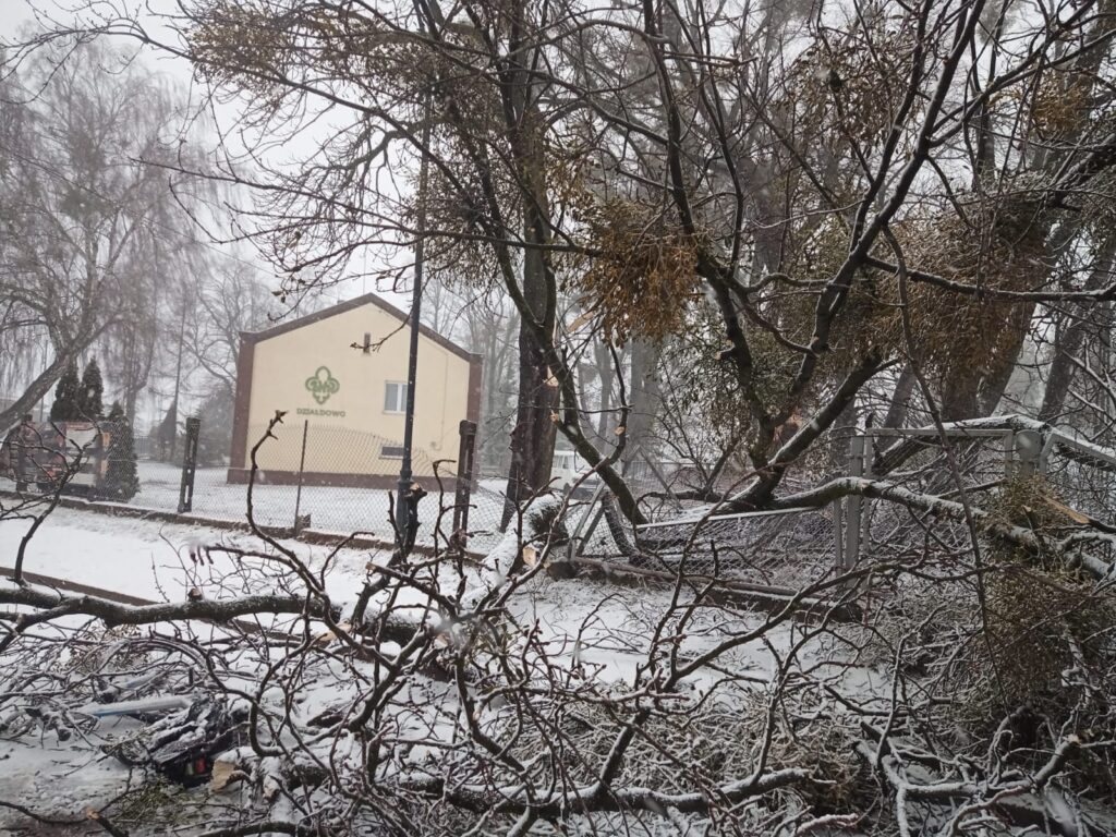 Konar spadł na kobietę poruszającą się chodnikiem