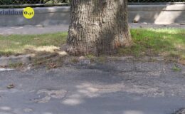 W tym roku rusza pierwszy etap remontu i przebudowy ulicy Północnej