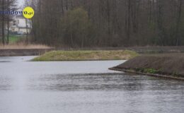 W naszym zbiorniku wodnym, pojawił się już pierwszy narybek