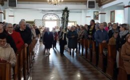 Palma w darze od seniorów